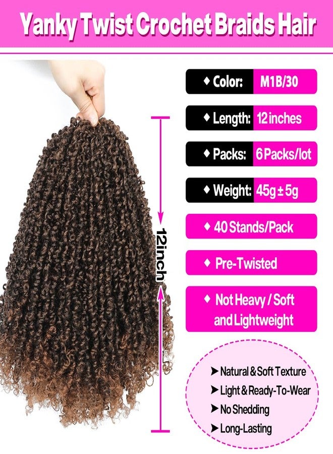 Youngther Yanky twist crochet hair Pre-Twisted Fluffy Twist with curly crochet hair for black women crochet hair pre looped Synthetic hair extension（12inch M1B/30 6PCS） - Image 3